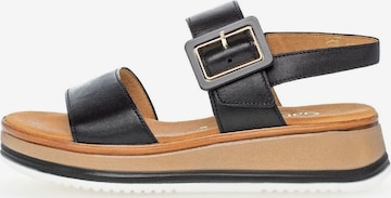 GABOR Strap Sandals in Black