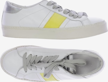 Meline Sneakers & Trainers in 39 in White: front