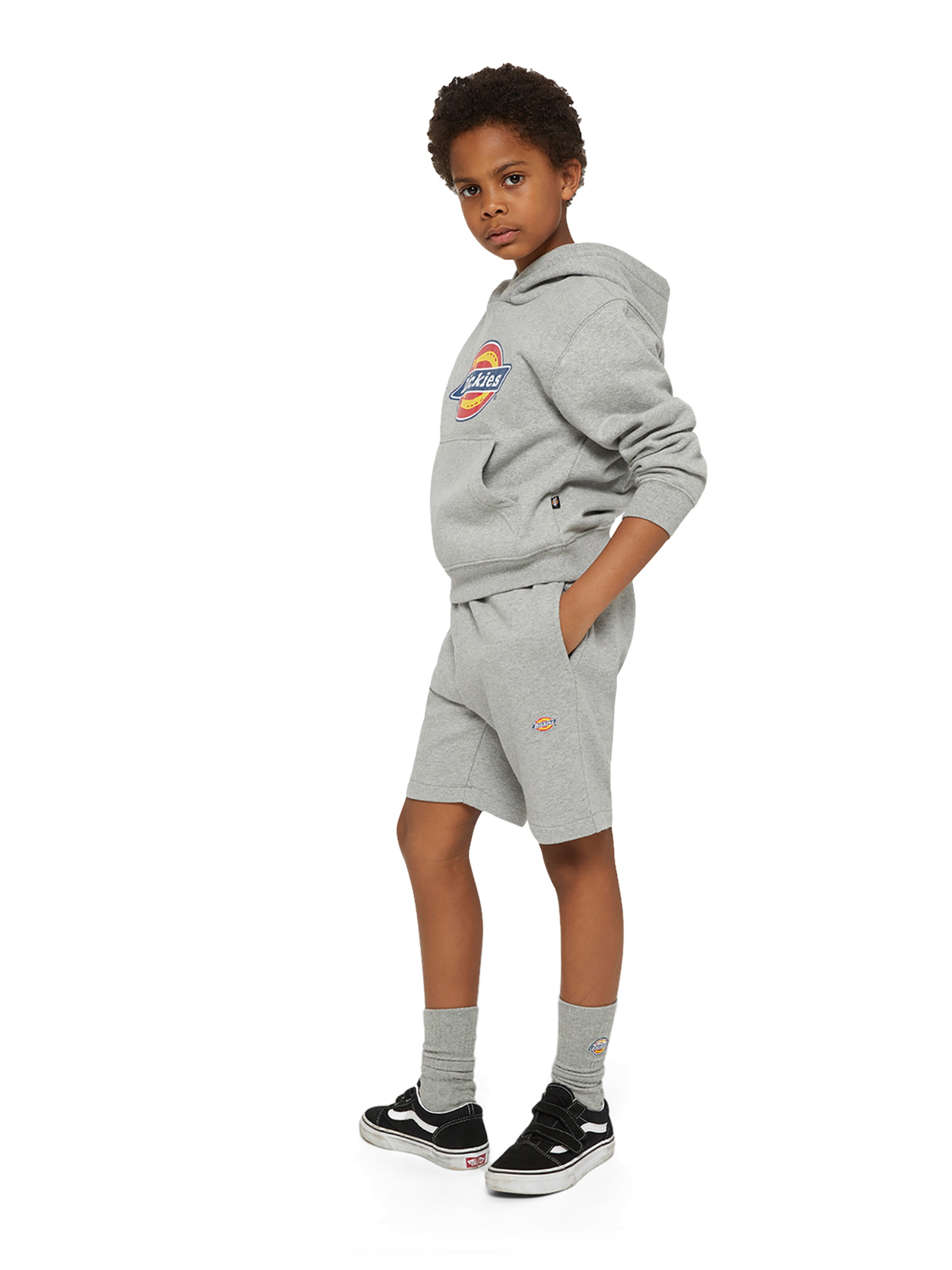 DICKIES - regular Pantalón 'Mapleton' en gris