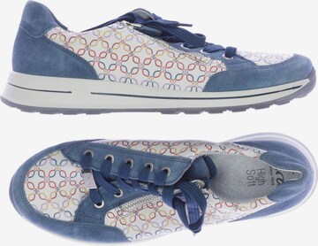 ARA Sneakers & Trainers in 41 in Blue: front