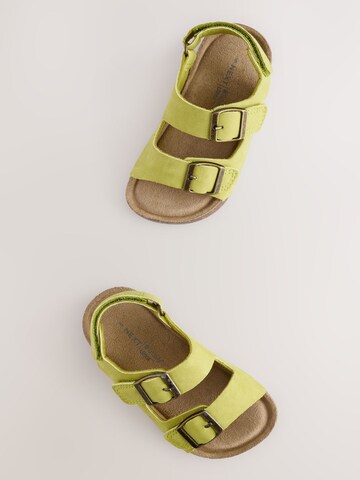 Next Open shoes in Green