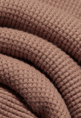 BLKVIS Regular Trousers in Brown