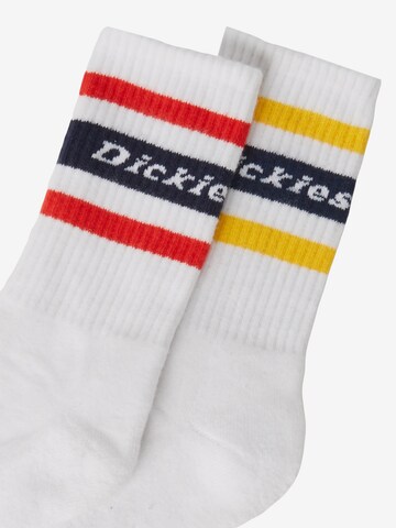 DICKIES - Calcetines 'GENOLA' en blanco