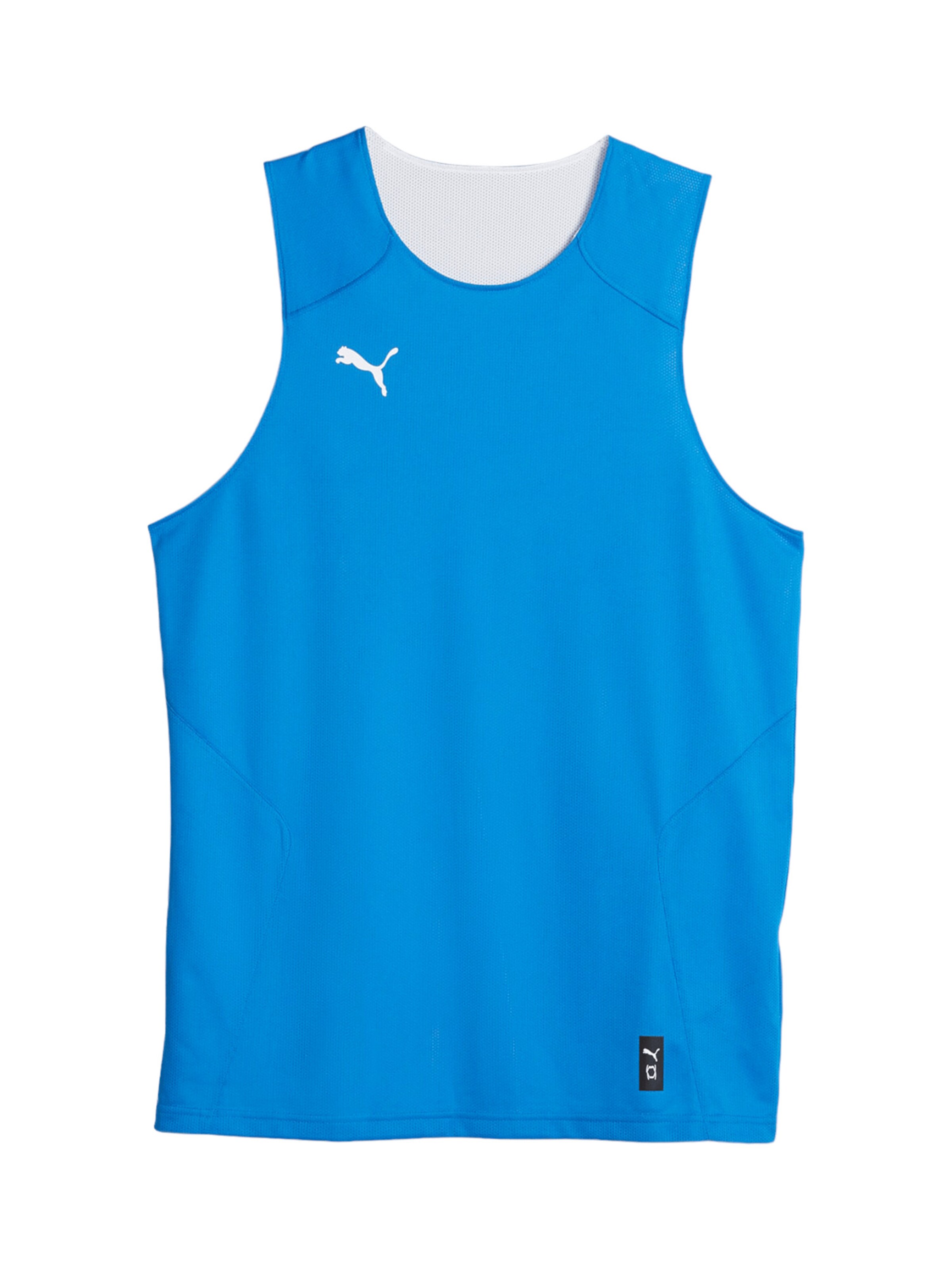 PUMA Funktionsshirt 'Hoops Team' in Blau: Vorderseite