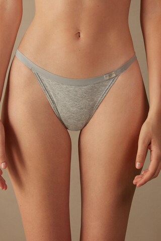 INTIMISSIMI Thong in Grey: front