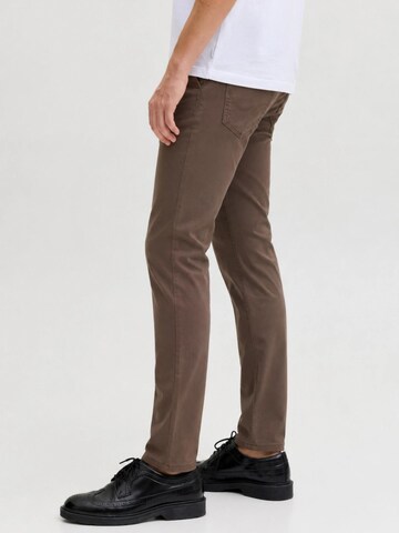 JACK & JONES Regular Chino trousers '12258298' in Brown