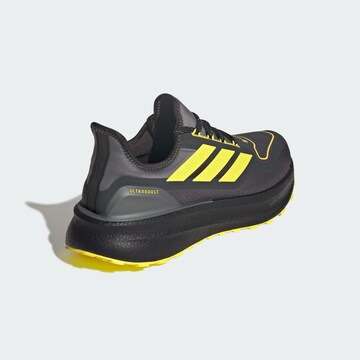 ADIDAS PERFORMANCE Laufschuh 'Ultraboost 5' in Grau