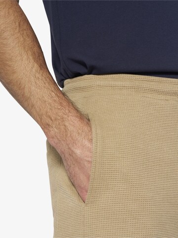 BABISTA Regular Pants 'Qarin' in Beige