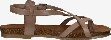 COSMOS COMFORT Strap Sandals in Beige