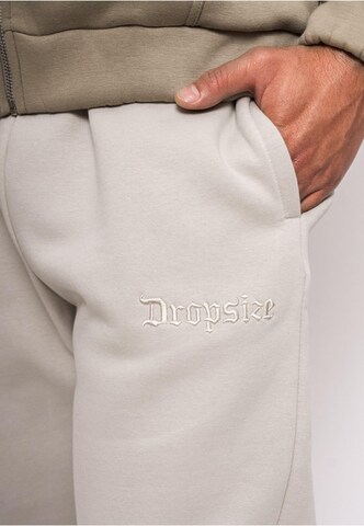 Dropsize Tapered Sporthose in Beige