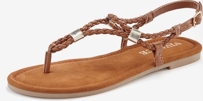 VIVANCE Japanke u smeđa / zlatna, Pregled proizvoda