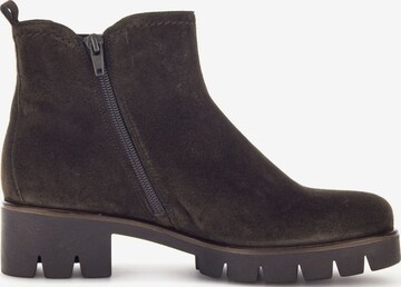 Bottines GABOR en marron