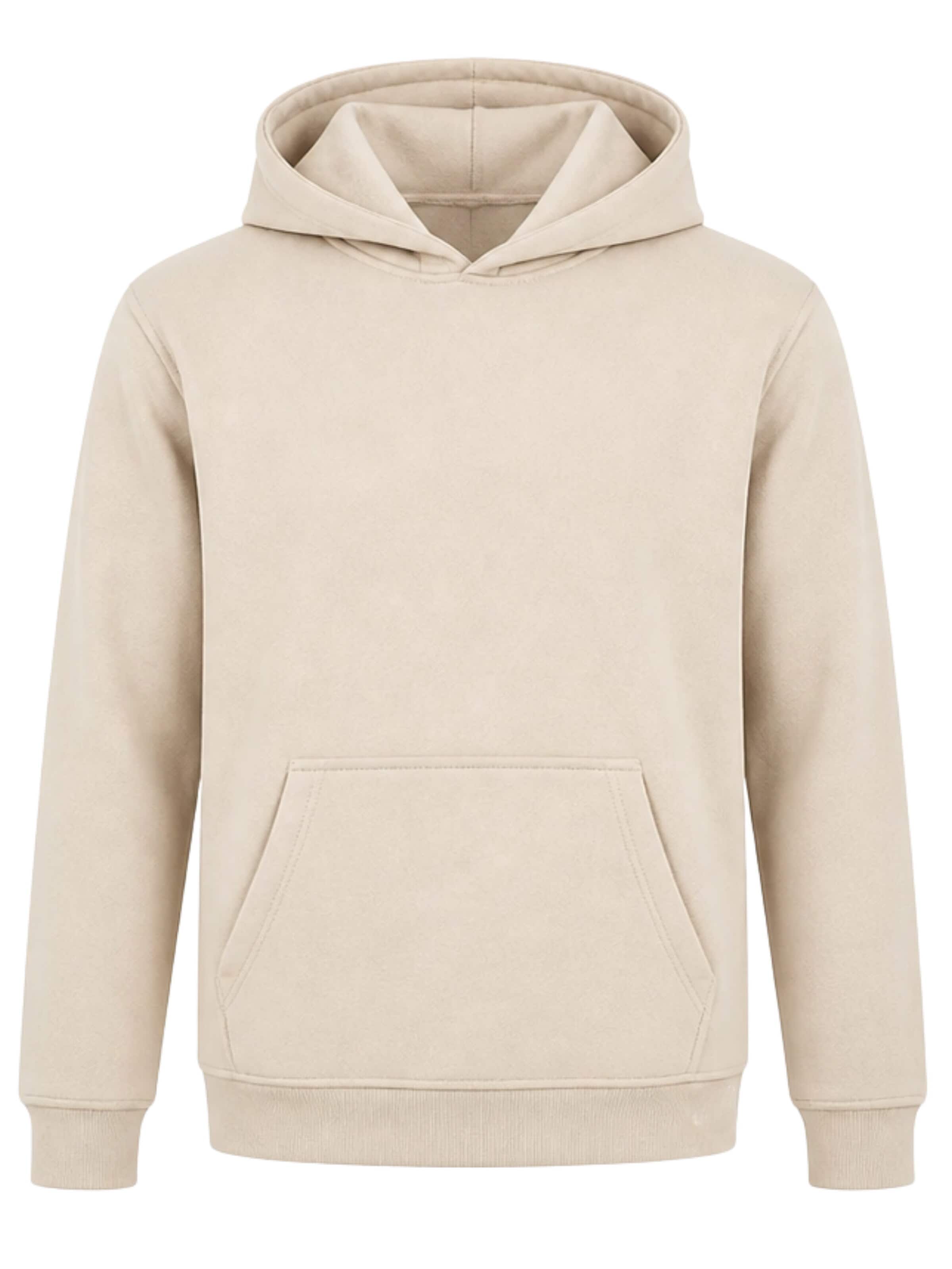 LOUIS LECLER Sweatshirt 'Hiro' in Beige: voorkant