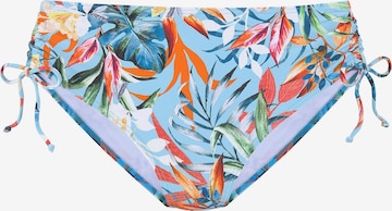 VENICE BEACHSportski bikini donji dio - plava boja: prednji dio