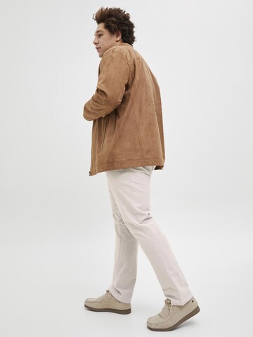 Jack & Jones Plus Slimfit Chino in Grijs
