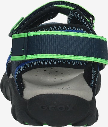 Chaussures ouvertes GEOX en bleu