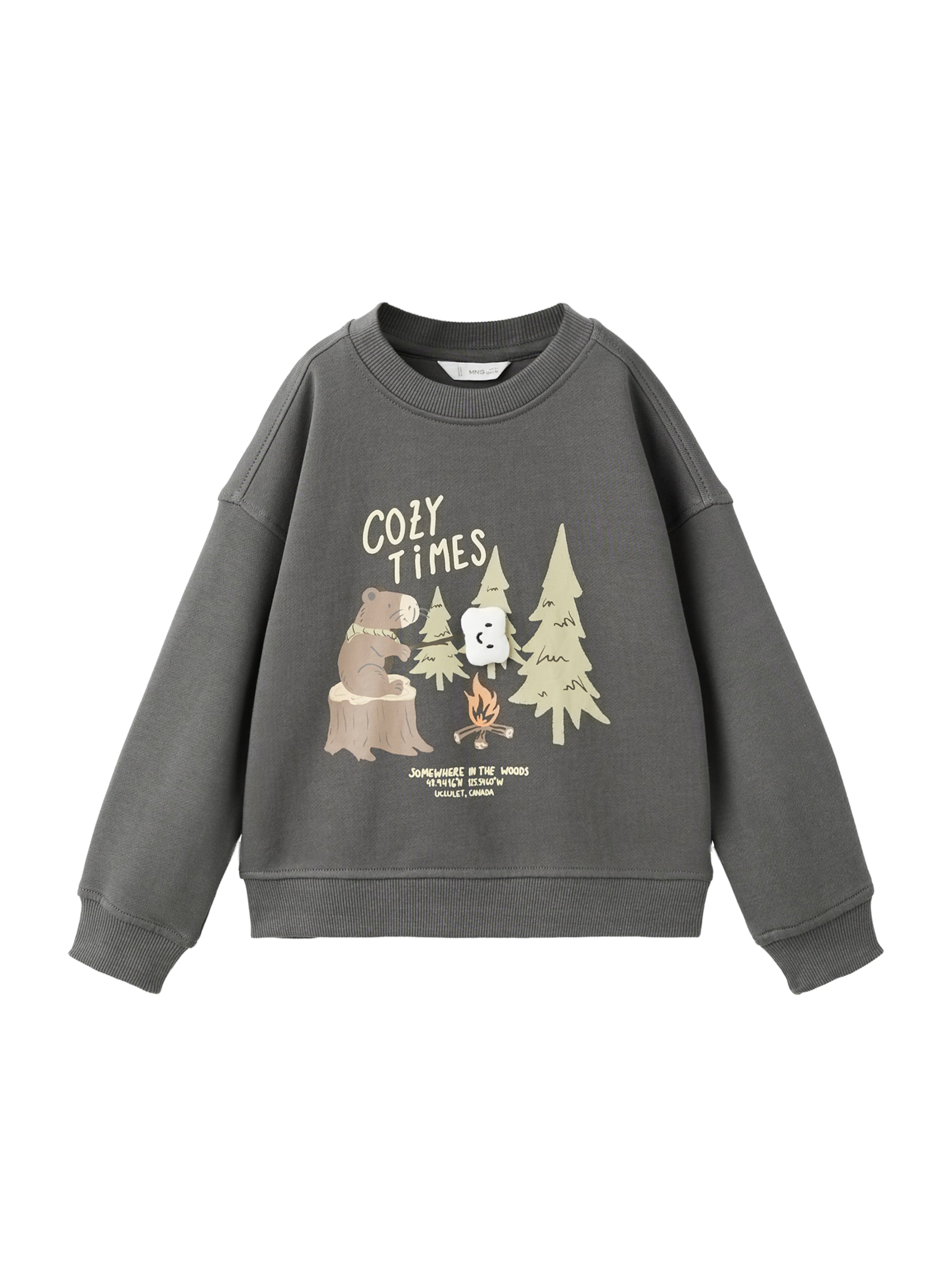 MANGO KIDS Sweatshirt 'EMARSH' in Grijs: voorkant