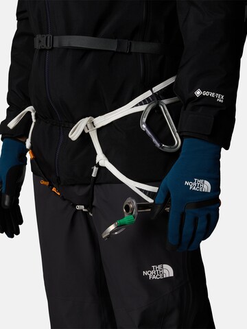 mėlyna THE NORTH FACE Sportinės pirštinės 'AMP GLOVE': priekis