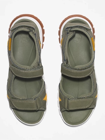 TIMBERLAND Sandals in Green