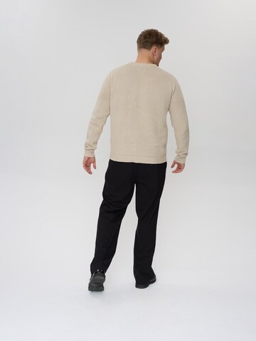 Dxnmxrk Sweater 'DXFae' in Grey