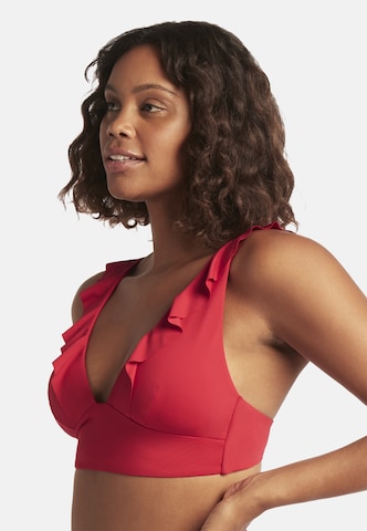 SEA LEVEL Triangel Bikinitop 'Essentials' in Rot