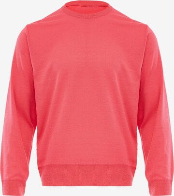 BLONDA Sweater in Pink: front