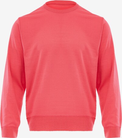 NAEMI Pullover in pink, Produktansicht