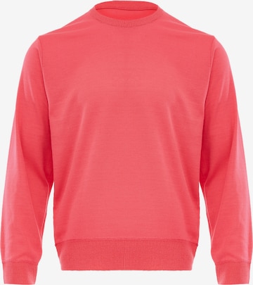 CELOCIA Sweater in Pink: front