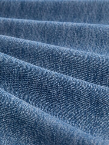TOM TAILOR DENIM Regular Jeans in Blauw