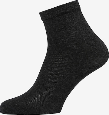 Götzburg Socks in Grey