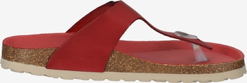 COSMOS COMFORT T-Bar Sandals in Red
