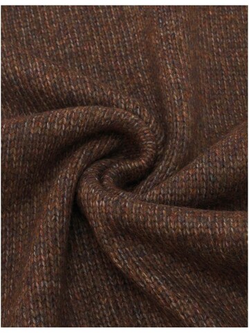 FRAAS Scarf in Brown