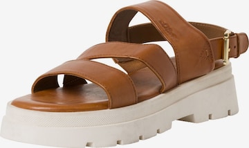 s.Oliver Sandals in Brown: front