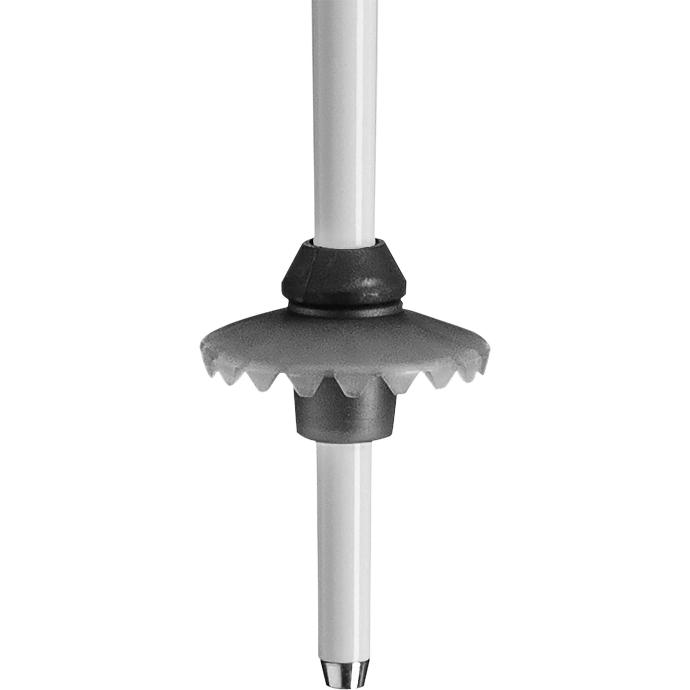 LEKI Skis 'Stella' in Black