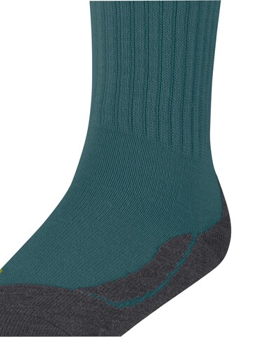 FALKE Socken 'Active Warm'‌‌‌‌‌‌‌ in Grün