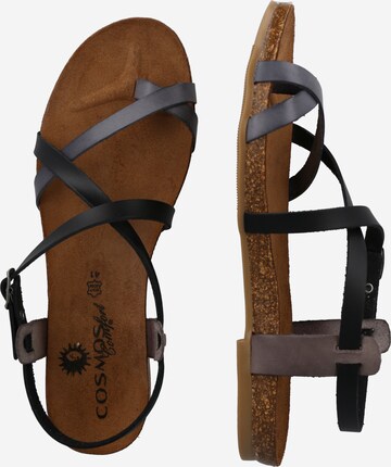 COSMOS COMFORT Sandalen met riem in Zwart