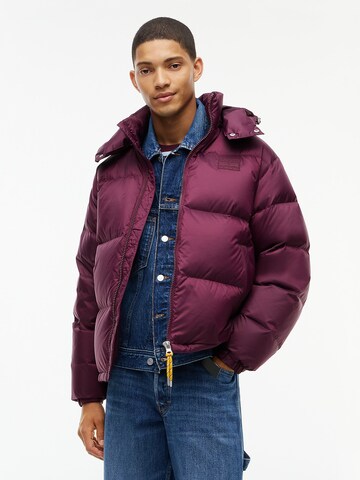 Tommy Jeans Winter jacket 'Alaska' in Purple: front