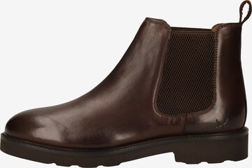 SANSIBAR Chelsea boots in Bruin