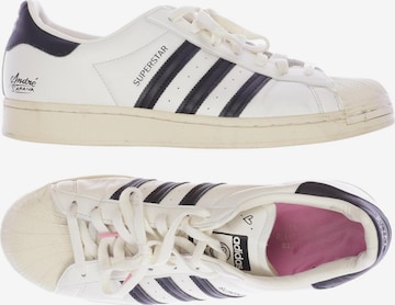 ADIDAS ORIGINALS Sneakers & Trainers in 45,5 in White: front