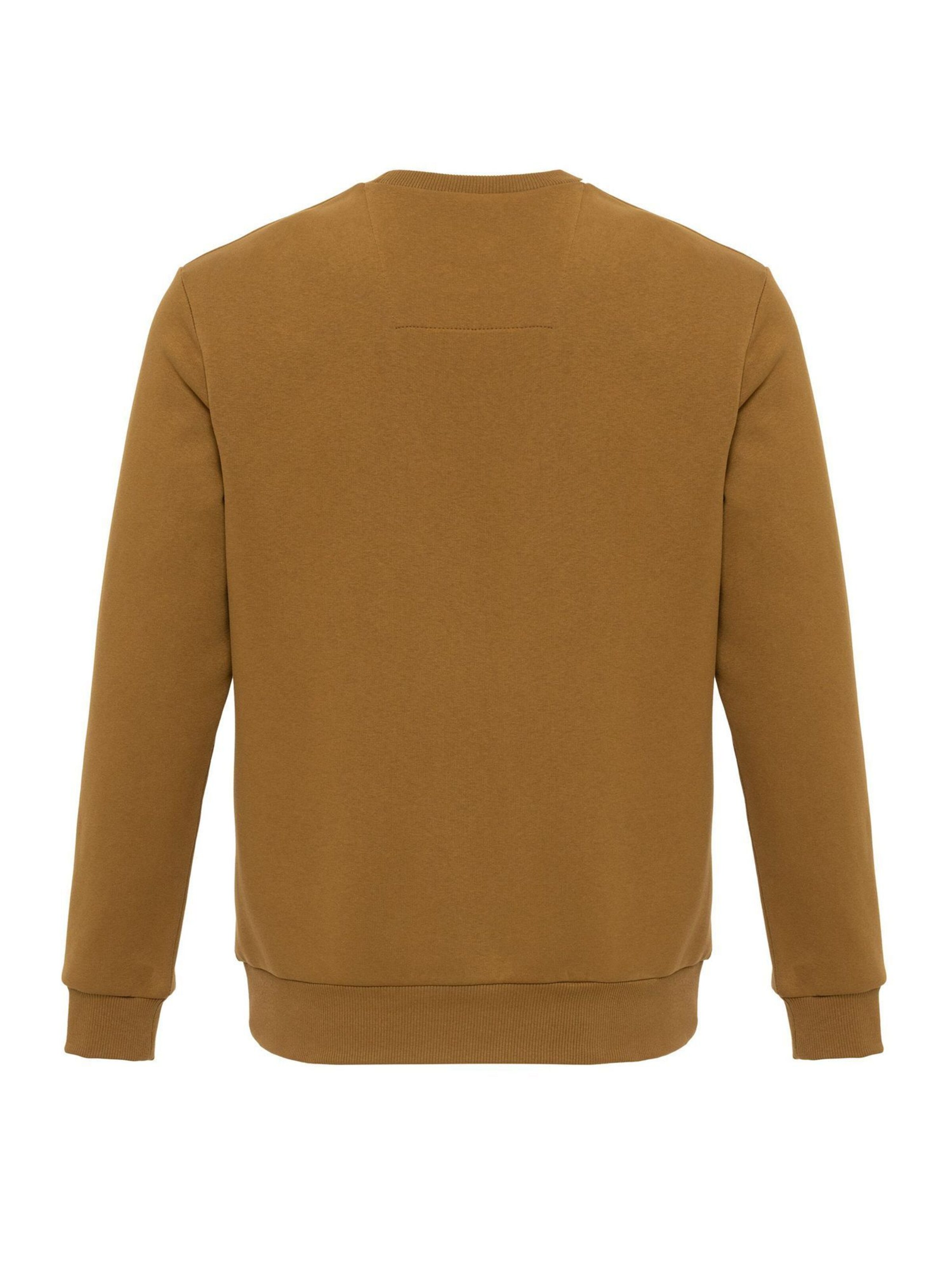 Arma Sweatshirt in Brown