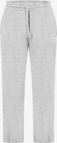 Smilodox Pants in Grey: front