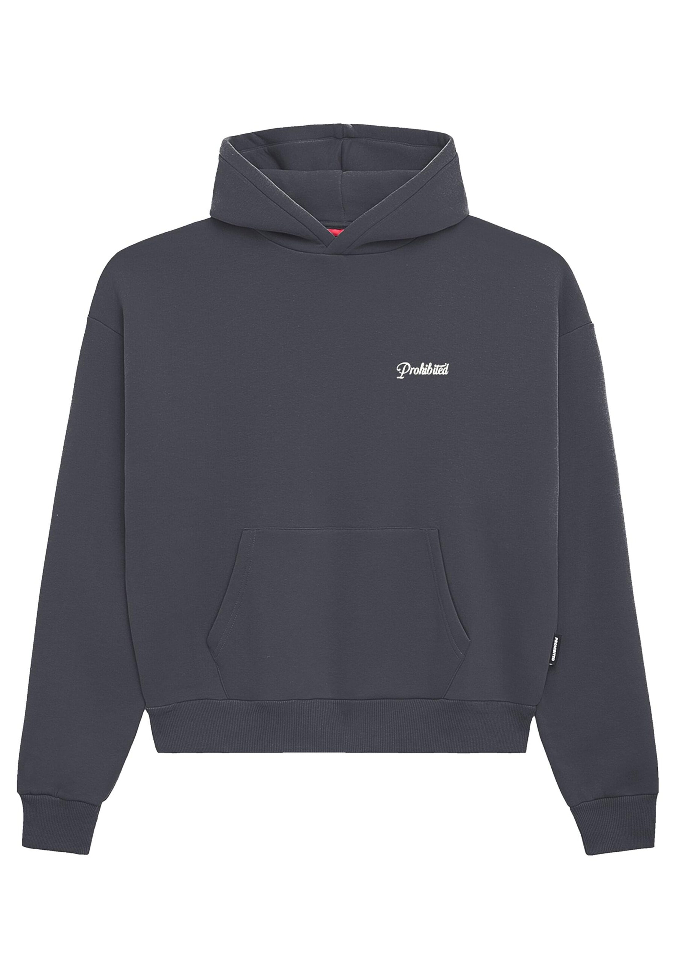 Prohibited Sweatshirt in Grau: Vorderseite