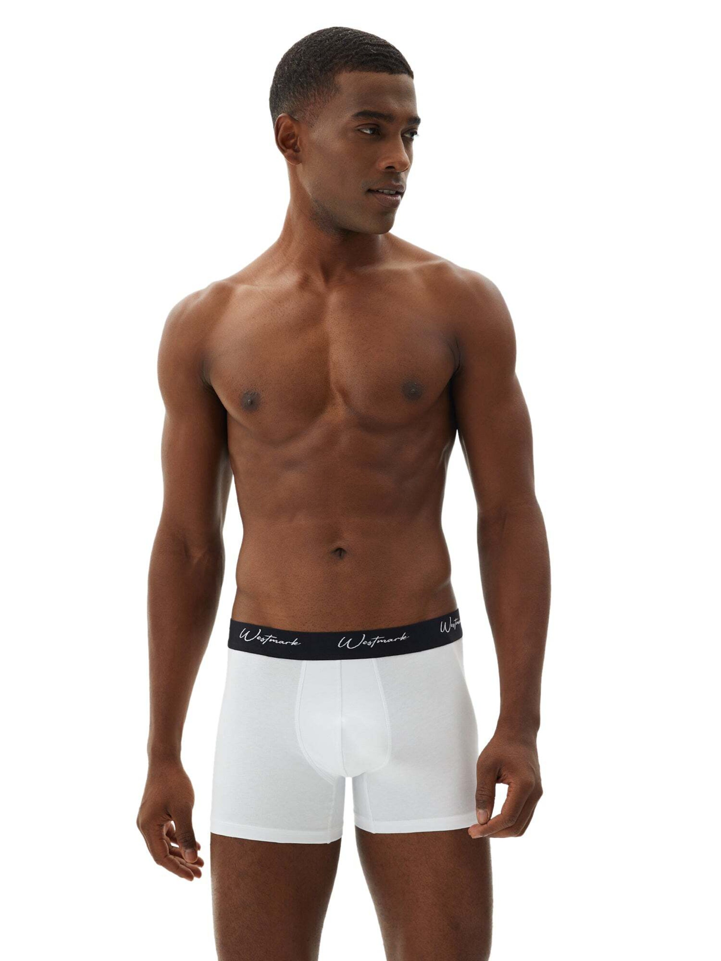 WESTMARK LONDON Boxershorts 'Lucas' in Blauw