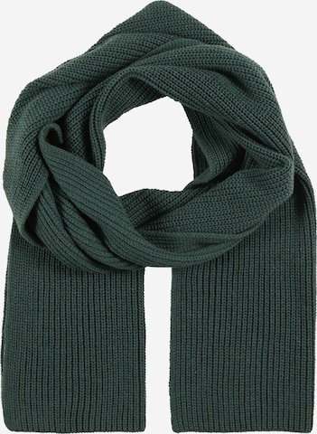 DAN FOX APPAREL Scarf 'Jona' in Green: front