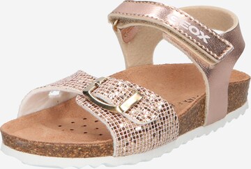 GEOX Sandals 'Adriel' in Gold: front