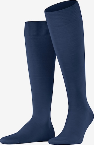 FALKE Knee High Socks 'ClimaWool' in Blue: front