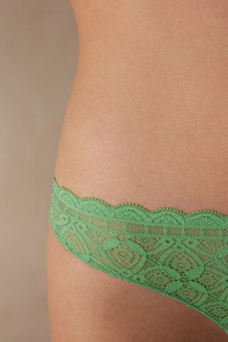 INTIMISSIMI Slip in Grün: Vorderseite
