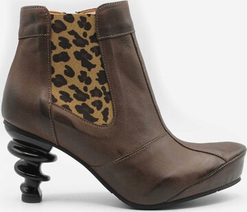 TIGGERS Chelsea Boots in Brown