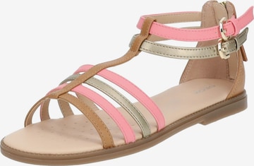 GEOX Sandalen in Beige: voorkant