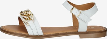 SCAPA Strap Sandals in White